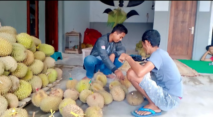 Penikmat buah durian di Desa Pakis, Kecamatan Panti, Kabupaten Jember.