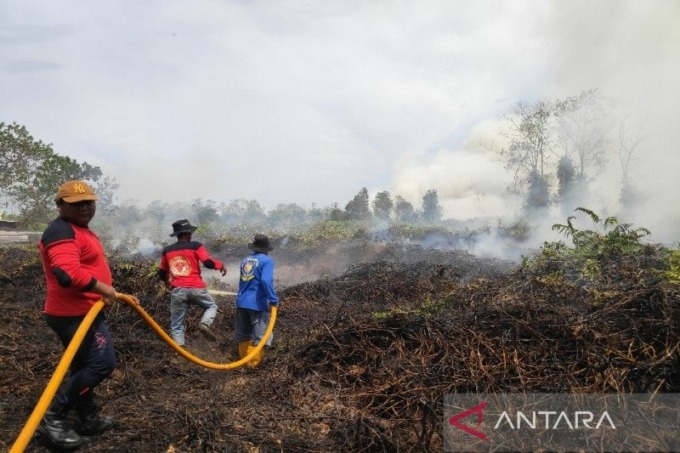 Arsip Foto. Petugas berusaha memadamkan lahan yang terbakar di Desa Kumpai Batu Atas, Kecamatan Arut Selatan, Kabupaten Kotawaringin Barat, Provinsi Kalimantan Tengah, Minggu (1/1/2023).