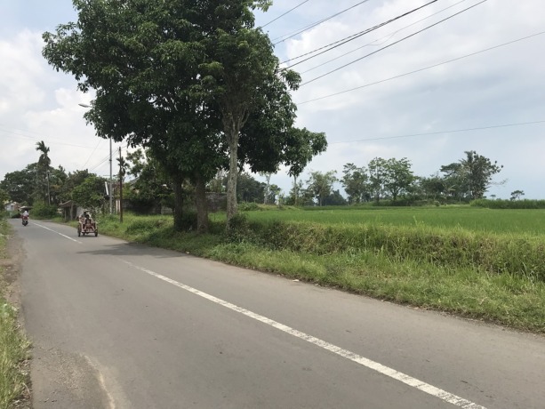 MASIH RENCANA: Suasana jalan di Desa/Kecamatan Tamanan yang direncanakan dilintasi jalan tol. Namun, rencana itu bisa menjadi arsip, karena tol Probowangi kemungkinan tak melintasi Bondowoso.
