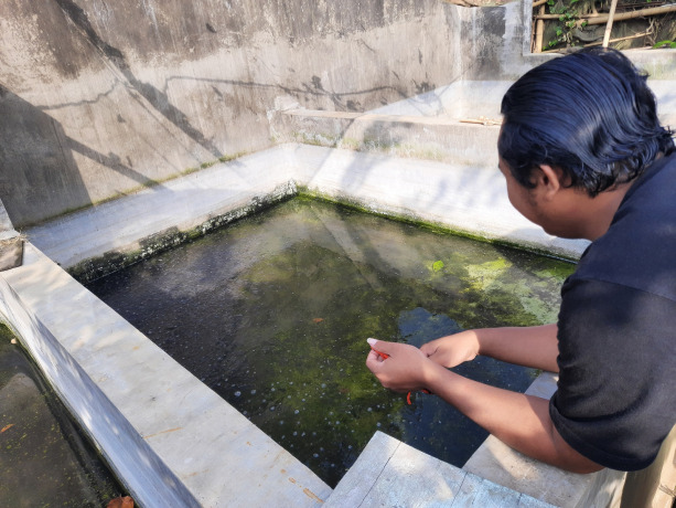RESAH: Naiknya harga pakan ikan lele membuat sejumlah peternak mulai bingung. Sebab, harga tersebut sejak pandemi tak kunjung normal.