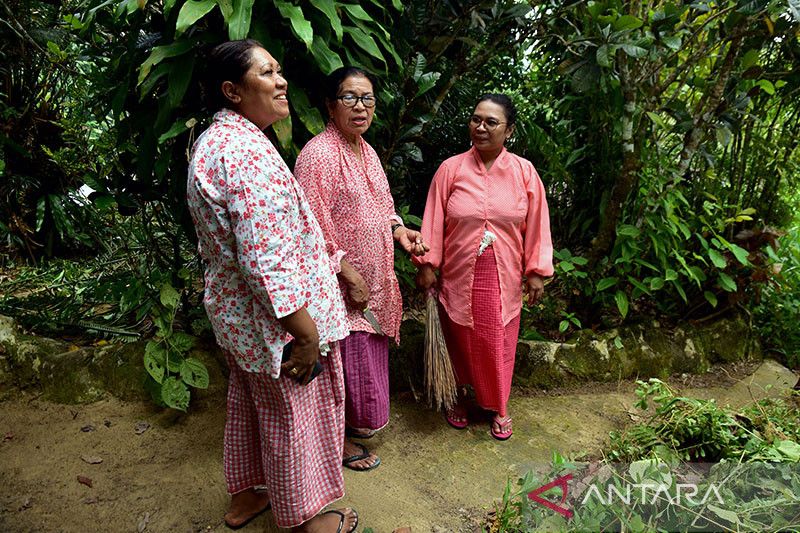 Arsip Foto. Beberapa perempuan (mata ina) berkebaya saat tradisi cuci negeri di Negeri Soya, Kota Ambon, Provinsi Maluku, Kamis (12/8/2022). Menurut Kantor Bahasa, bahasa daerah Maluku saat ini umumnya hanya digunakan dalam acara adat, sudah tidak banyak