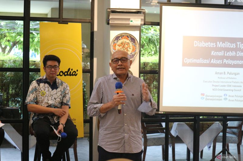 Guru Besar Universitas Indonesia Fakultas Kedokteran Bidang Ilmu Kesehatan Anak, Prof. Dr. dr. Aman Bhakti Pulungan, Sp.A, FAAP, FRCPI memberikan paparan pada awak media di kawasan Menteng, Jakarta Pusat, Selasa (28/3).