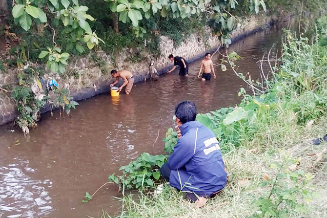 Sejumlah warga mencari ikan mabuk di Sungai Umbul, Kota Probolinggo, Senin (13/3), kondisi tersebut diduga air sungai tersebut tercemar. (Iwan Susanto/Radar Bromo)