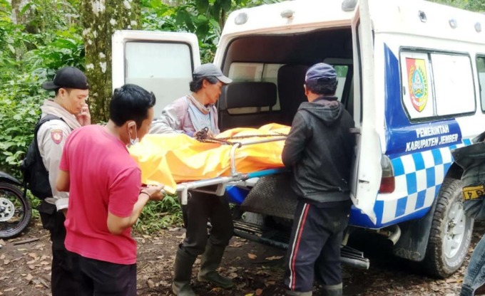 TAK BERNYAWA: Petugas Polsek Ledokombo bersama tim medis puskesmas setempat mengevakuasi jenazah korban.