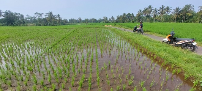 DOK RADAR JEMBER