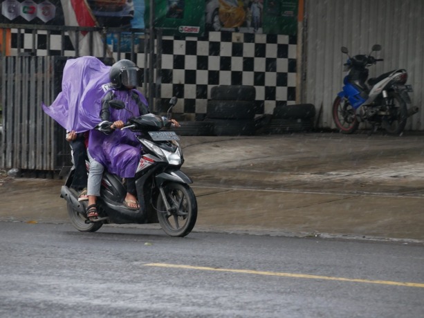 MENERJANG HUJAN: Pengendara motor mengenakan jas hujan melintasi jalan di bawah guyuran hujan, kemarin. BPBD Lumajang meminta masyarakat meningkatkan kewaspadaan.