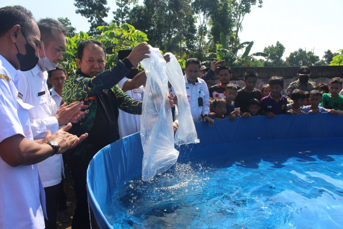 PEMBERDAYAAN MASYARAKAT: Bupati Jember Hendy Siswanto saat melepas bibit ikan nila di Panti. Hal itu menjadi salah satu upaya mengentaskan kemiskinan dan stunting lewat pemenuhan gizi dari nutrisi ikan.