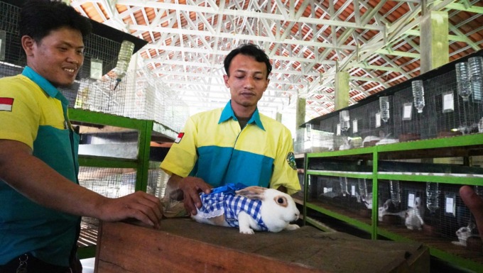 KEREN: Pegawai Taman Botani Sukorambi mengenakan pakaian pada kelinci yang dapat dibeli oleh pengunjung.