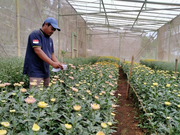 BERPOTENSI: Agrowisata Petik Bunga yang berada di Kecamatan Rembangan memiliki potensi untuk bisa menjadi wisata unggulan.