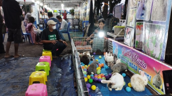 KREATIF: Memberi makan kelinci menjadi peluang usaha tersendiri bagi UMKM di Alun-Alun Jember.