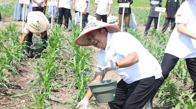 PERTANIAN: Bupati Jember Hendy Siswanto menabur pupuk organik plus pada tanaman jagung di Poktan Tani Makmur, Desa Dukuh Dempok, Kecamatan Wuluhan, kemarin (24/5). Bupati Hendy bersama stakeholder dan petani melakukan pemupukan organik plus secara serenta