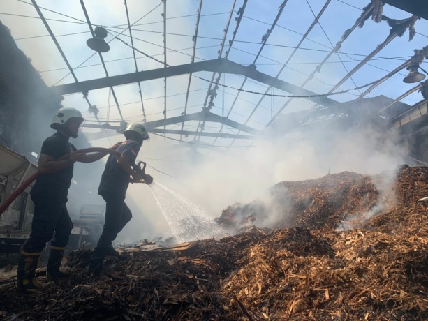 SIGAP: Sejumlah petugas berupaya memadamkan api di gudang plywood PT Indah Karya Desa Pekauman, Kecamatan Grujugan, Bondowoso. (Ilham Wahyudi/Radar Ijen)