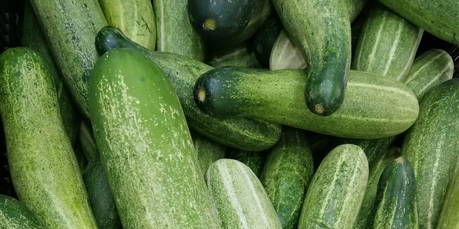 Ilustrasi timun. ©Pexels/Lo