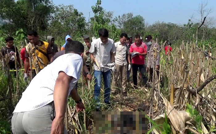 KORBAN PEMBUNUHAN?: Polisi melakukan olah tempat kejadian perkara penemuan jasad perempuan tanpa identitas di kawasan hutan petak 53A1, KPH Sidolaju, kemarin (20/6). (ASEP SYAEFUL BACHRI/JAWA POS RADA