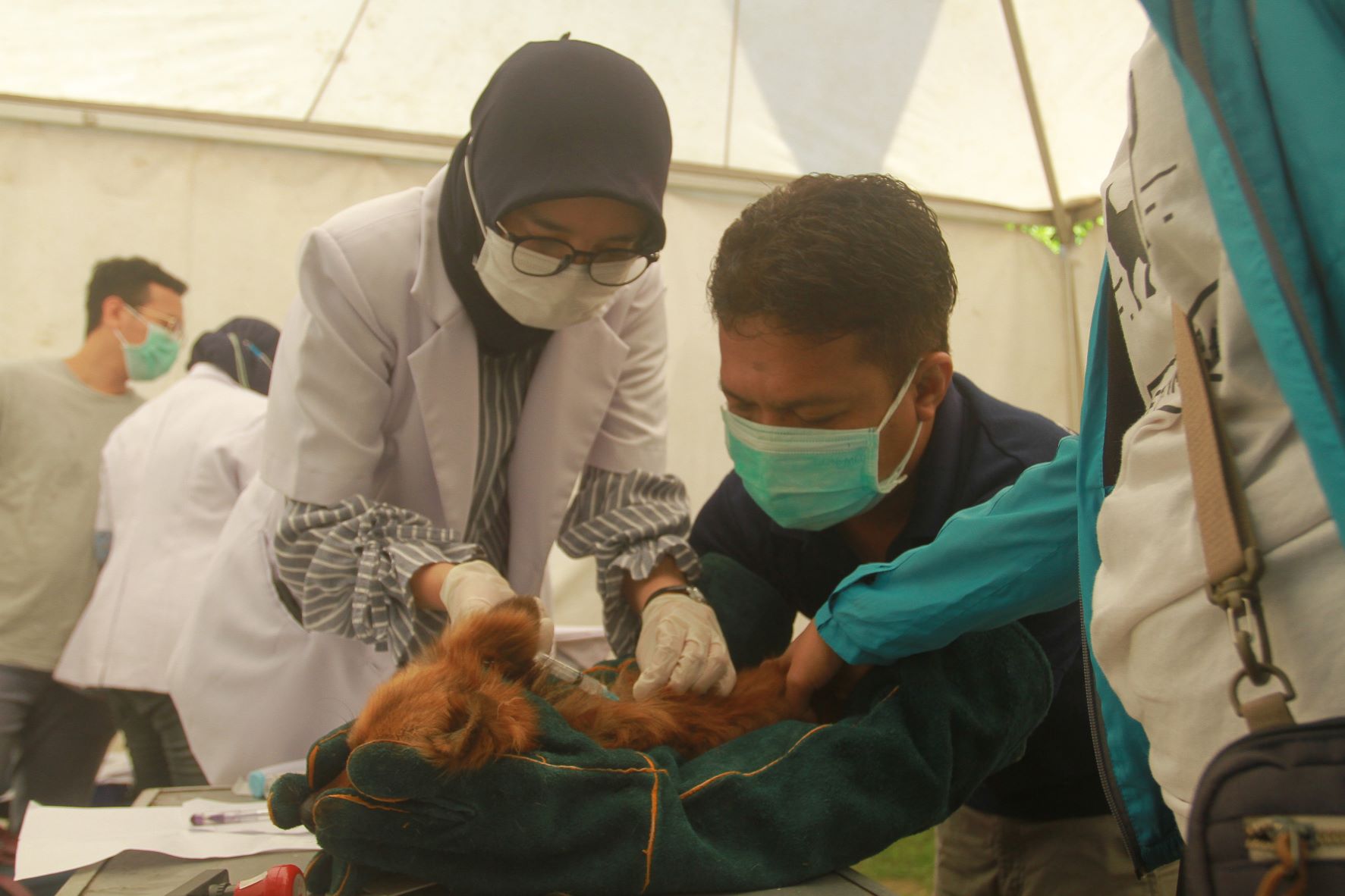 ANTI-RABIES: Warga Kota Madiun antre vaksinasi rabies bagi anjing dan kucing peliharaannya di kantor DKPP kemarin (22/6). (BAGAS BIMANTARA/RADAR MADIUN)