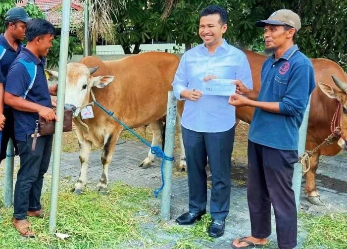 Wagub Emil Elestianto Dardak membeli sapi milik warga Kecamatan Arjasa, Pulau Kangean, Madura, untuk kurban pada Hari Raya Idul Adha 2023. (Istimewa)