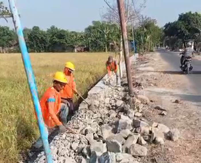 BERMASALAH: Pekerja CV Kontrucindo Mandiri membongkar talut yang disoal Komisi IV DPRD Ngawi. (ASEP SYAEFUL BACHRI/JAWA POS RADAR NGAWI)