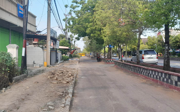 KENA GUSUR: Puluhan pohon tanjung di jalur lambat sisi utara Jalan PB Sudirman akan dipindah ke TPA Selopuro. (ASEP SYAEFUL BACHRI/JAWA POS RADAR NGAWI)