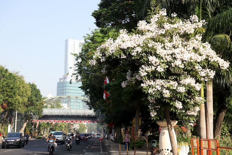 SEHAT: Kualitas udara di Surabaya diklaim baik oleh DLH setempat. (ANTARA)