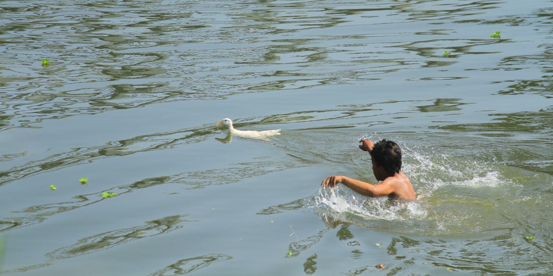 TRADISI: Seorang warga berusaha menangkap bebek yang dilepaskan di sungai. (BAGAS BIMANTARA/RADAR MADIUN)