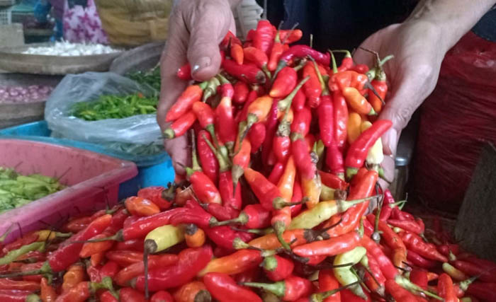 KOMODITAS DAPUR: Harga cabai rawit dan cabai merah di Pasar Sayur Magetan naik Rp 5 ribu per kilogram. (APRILITA SARI/JAWA POS RADAR MAGETAN)