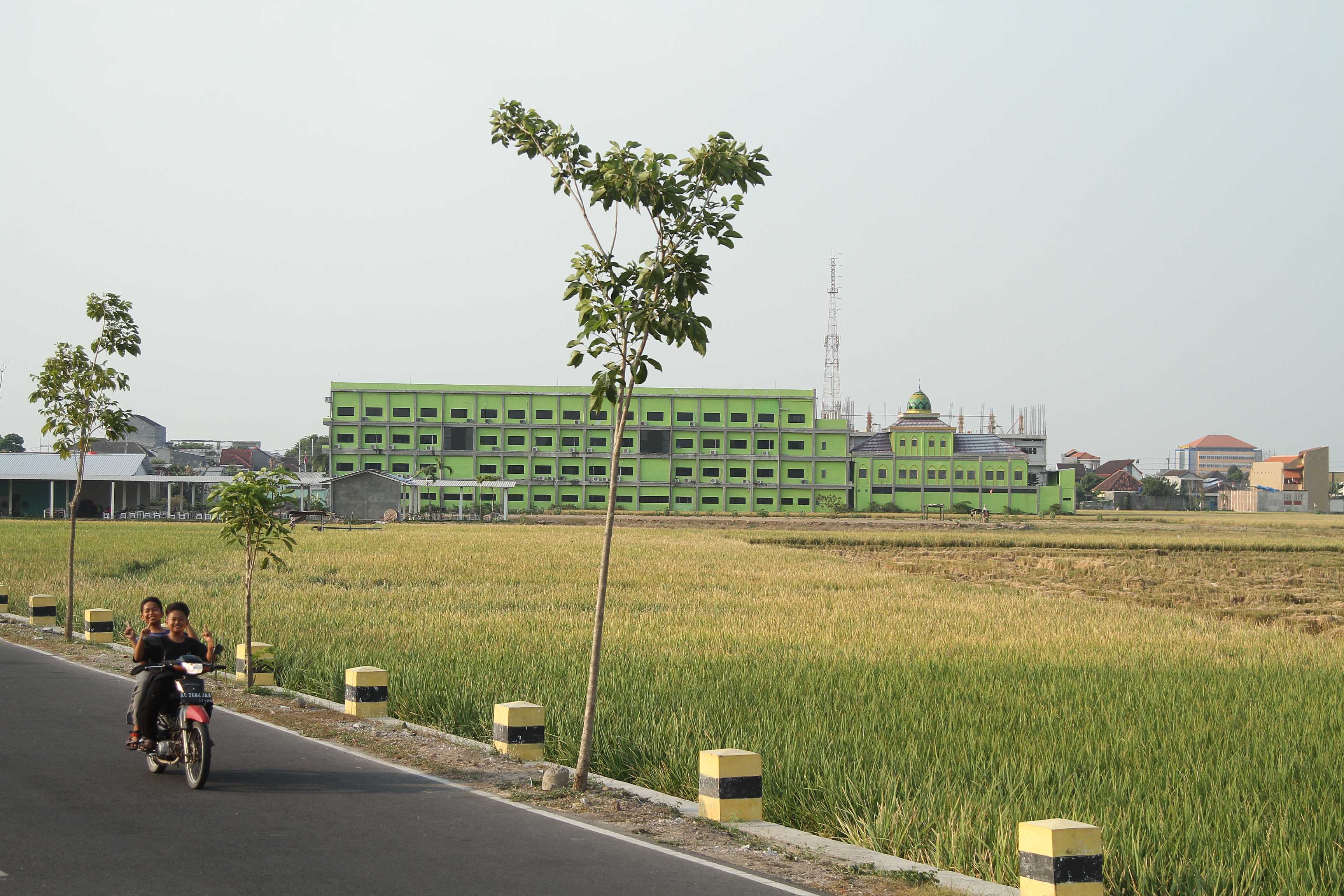 PRODUKSI PADI: Petani di Kota Madiun digelontor puluhan ton pupuk subsidi untuk meningkatkan hasil pertanian.&nbsp;(BAGAS BIMANTARA/RADAR MADIUN)