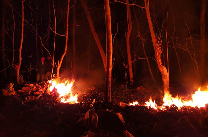 MEMBARA: Kebakaran hutan Gunung Prongos, Desa Kunti Sampung nyaris merembet ke rumah warga Senin malam (28/8) lalu. (ISTIMEWA)