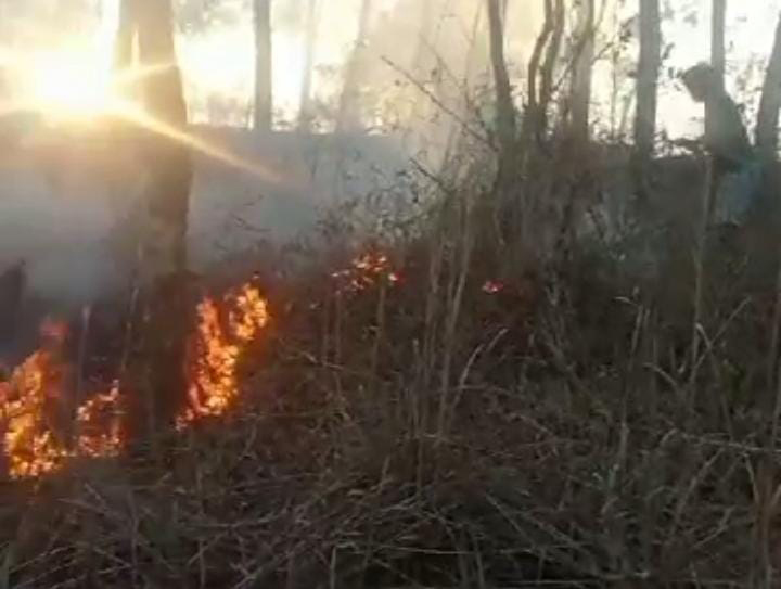PADAMKAN API: Warga Desa Donorojo berupaya memadamkan api yang membakar hutan di wilayah mereka dengan peralatan ala kadarnya, Kamis (31/8) petang.&nbsp;(ISTIMEWA)