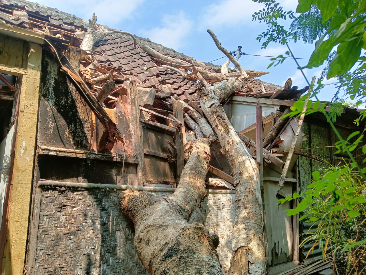 KEROPOS: Rumah Koko di Gang Ayam Alas, Jalan Sikatan rusak tertimpa pohon Flamboyan yang tumbang kemarin (3/9).&nbsp;(ERLITA HERMININGSIH/RADAR MADIUN)