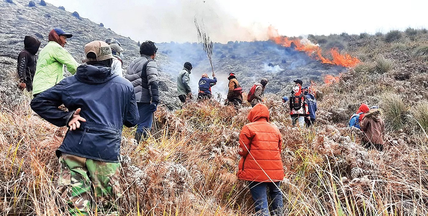 AKIBAT ULAH MANUSIA: Pemadaman api di Lembah Watangan atau Bukit Teletubbies di desa Ngadirejo, Sukapura, Probolinggo, kemarin (7/9). (BPBD KABUPATEN PROBOLINGGO)