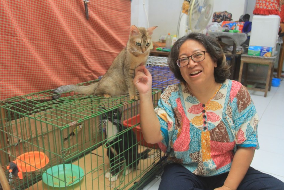 CAT RESCUER: Rahmadian Lestari Arbianita bersama kucing liar yang telah diselamatkannya. (BAGAS BIMANTARA/JAWA POS RADAR MADIUN)