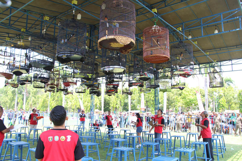 KICAU MANIA: Puluhan pehobi burung kicau mengikuti Lomba Burung Berkicau Bupati Cup Ngawi 2023 di Alun-Alun Merdeka, Ngawi, kemarin. ( ASEP SYAEFUL BACHRI/JAWA POS RADAR NGAWI)