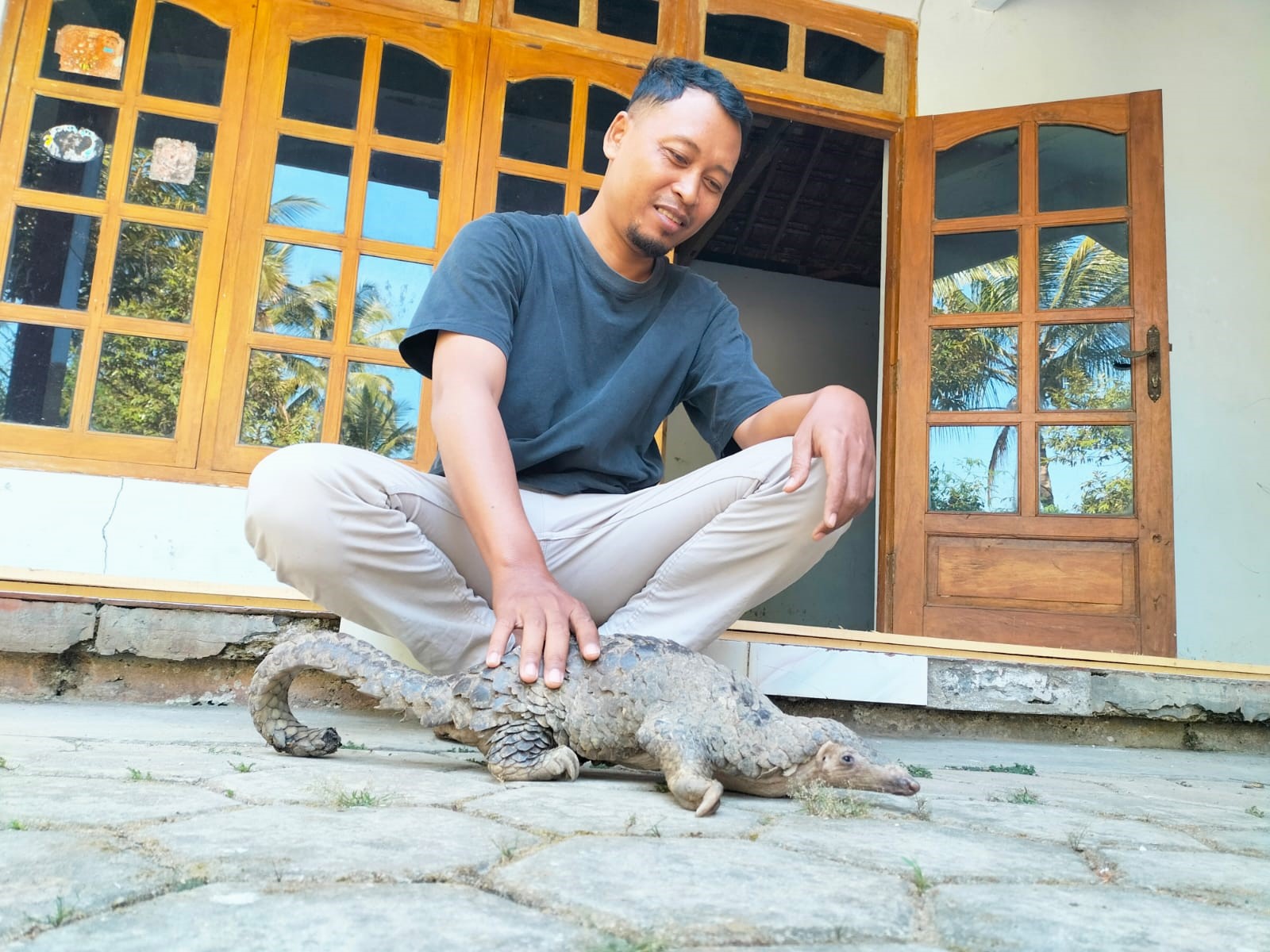 CRITICALLY ENDANGERED: Fajar Wiharjo menunjukkan trenggiling yang dia temukan di pekarangan rumah, Senin (18/9). (ISTIMEWA)