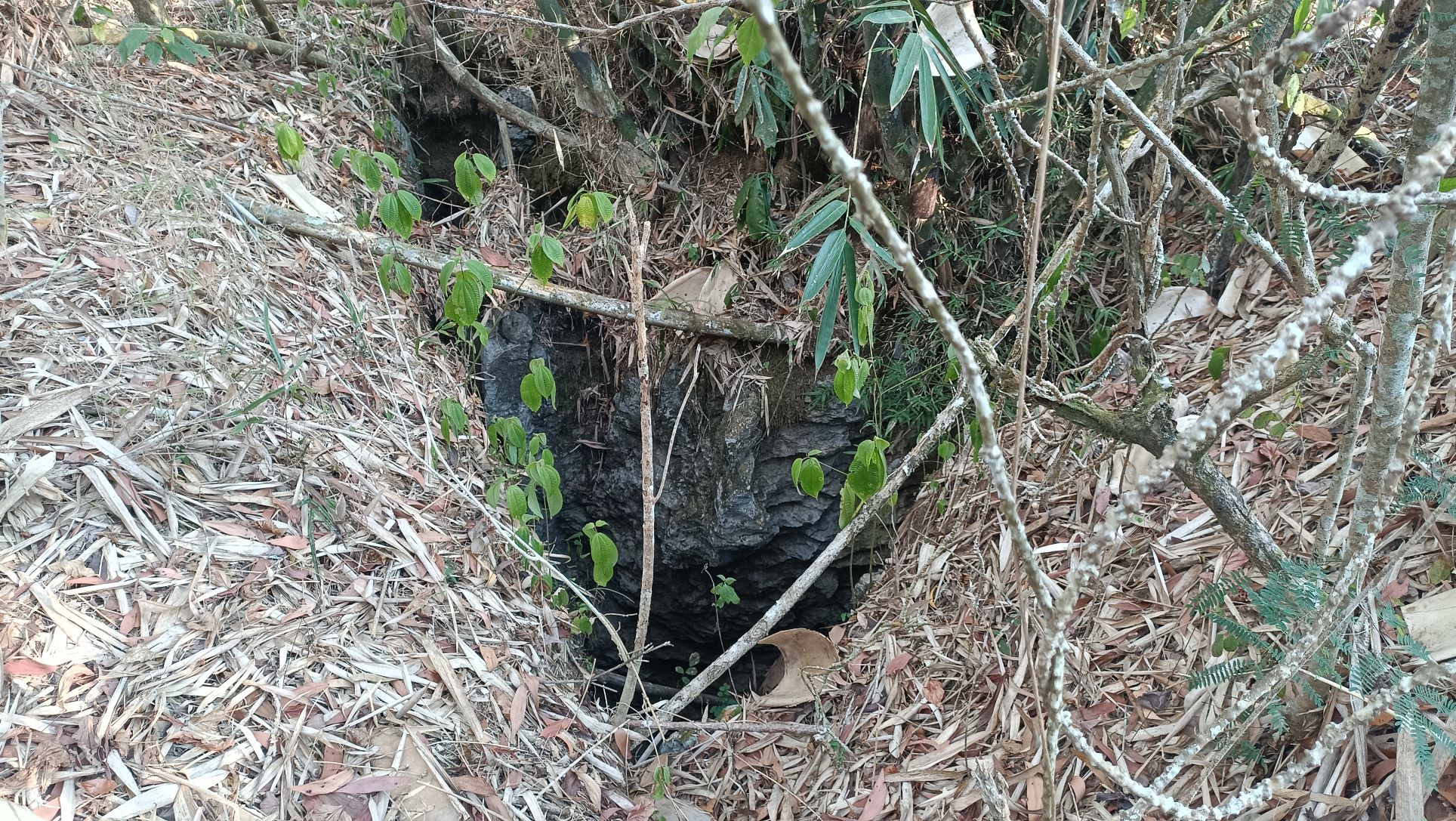BENARKAH?: Kondisi Luweng Menjangan di Dusun Tanggung, Sanggrahan, Kebonagung, Pacitan, kemarin (30/9). Gua ini diduga jadi saksi bisu penumpasan PKI 1965 di Pacitan. (NUR CAHYONO/RADAR PACITAN)