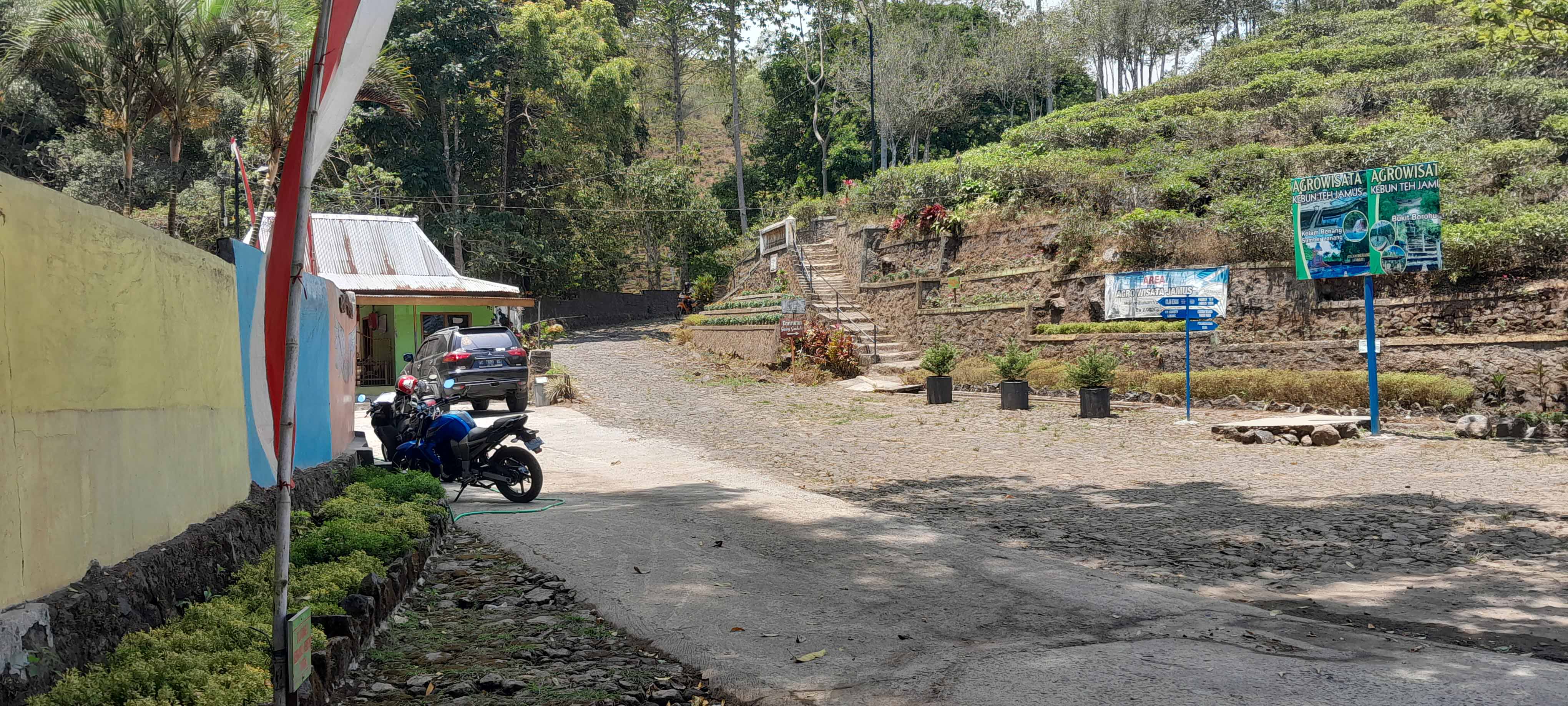 DIKLAIM AMAN: Pengelola memutuskan tetap membuka wisata Kebun Teh Jamus kendati sebagian perkebunan teh telah terbakar.&nbsp;(ASEP SYAEFUL BACHRI/JAWA POS RADAR NGAWI)