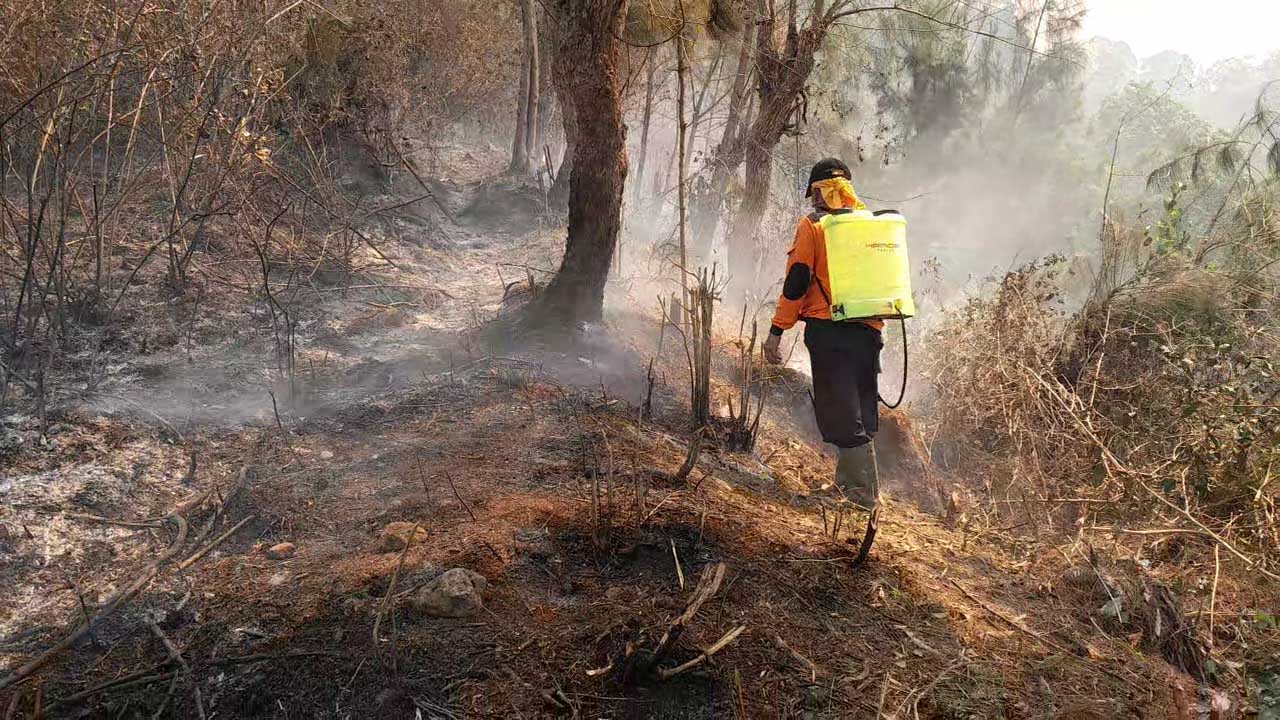 KONVENSIONAL : Tim darat penanganan karhutla Gunung Lawu memadamkan api menggunakan peralatan seadanya. (ASEP SAEFUL BACHRI/JAA POS RADAR NGAWI)