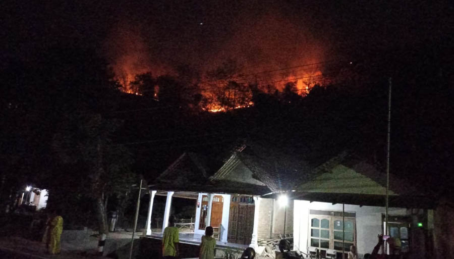 MEMBARA : Nyala api karhutla di Gunung Loreng berada dekat dengan permukiman warga. Kejadian diketahui pukul 13.00 WIB Sabtu siang (7/10) lalu. (BPBD UNTUK JAWA POS RADAR PONOROGO)