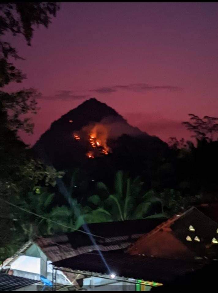 AMUK JAGO MERAH: Kobaran api di Gunung Sepang, Desa/Kecamatan Tulakan, Pacitan, nyaris merembet ke permukiman warga, Minggu (15/9) malam. (NUR CAHYONO/RADAR PACITAN)