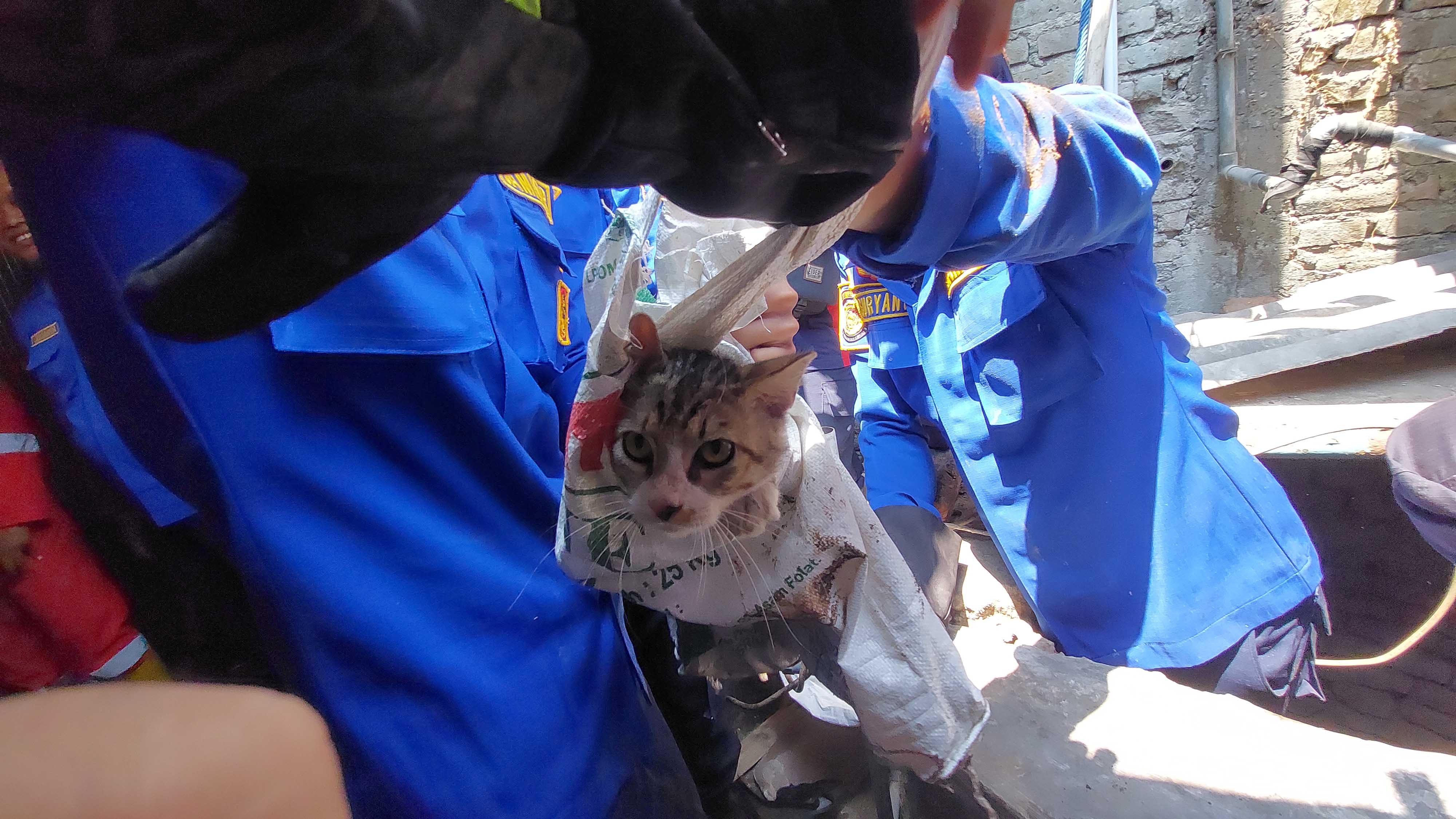 DIEVAKUASI: Petugas Damkar Kabupaten Madiun saat menyelamatkan seekor kucing yang terjatuh di dalam sumur di Desa Pagotan, Geger, Selasa (31/10).&nbsp;(DIAN RAHAYU/RADAR CARUBAN)
