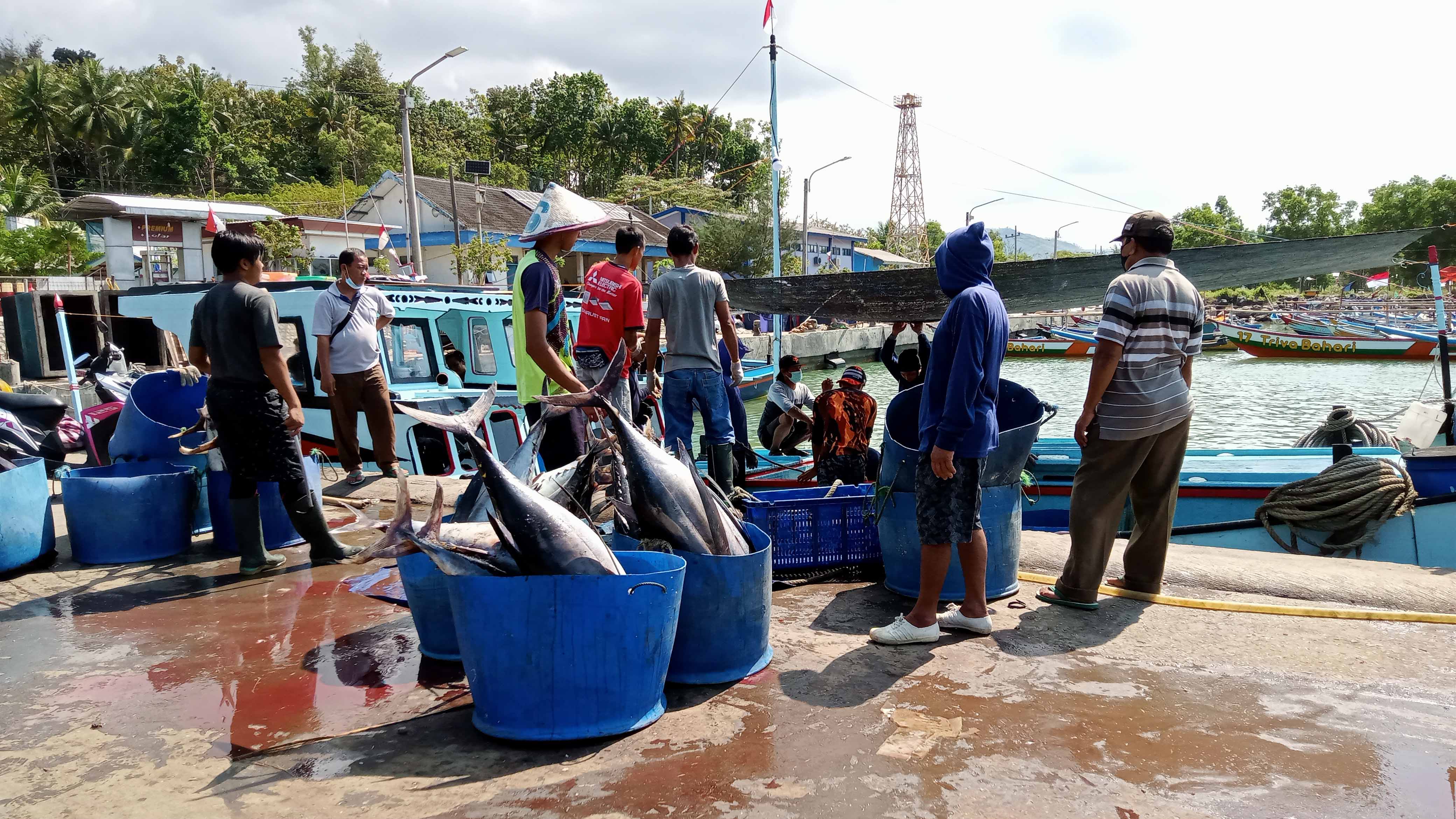 ILUSTRASI: Sektor pertanian termasuk perikanan merupakan lapangan pekerjaan yang tidak membutuhkan ijazah.&nbsp;(NUR CAHYONO/RADAR PACITAN)