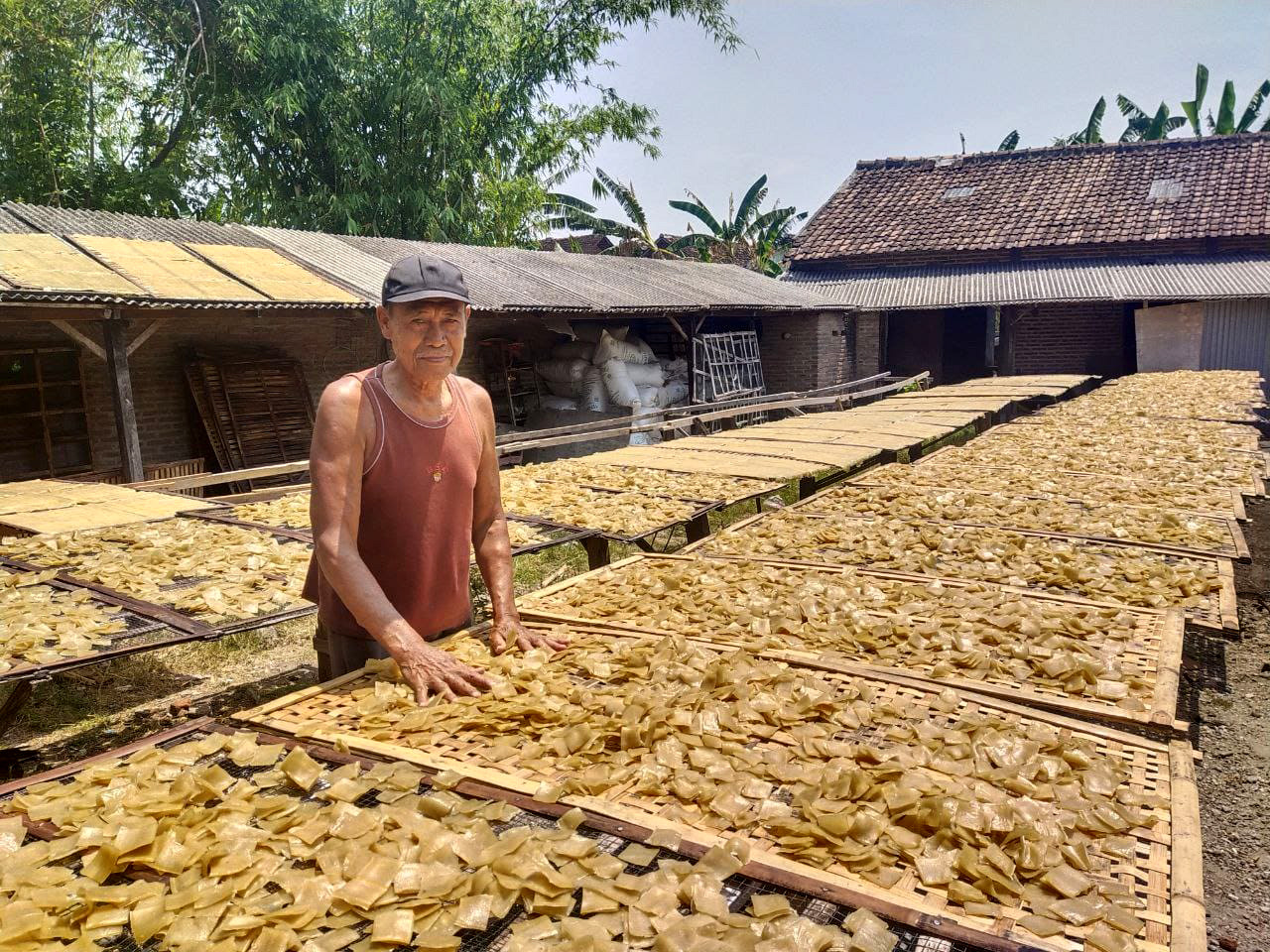 TELATEN: Sunar menunjukkan proses pengeringan kerupuk rambak di tempat produksinya.&nbsp;(ABRIYANTO/JAWA POS RADAR MADIUN)