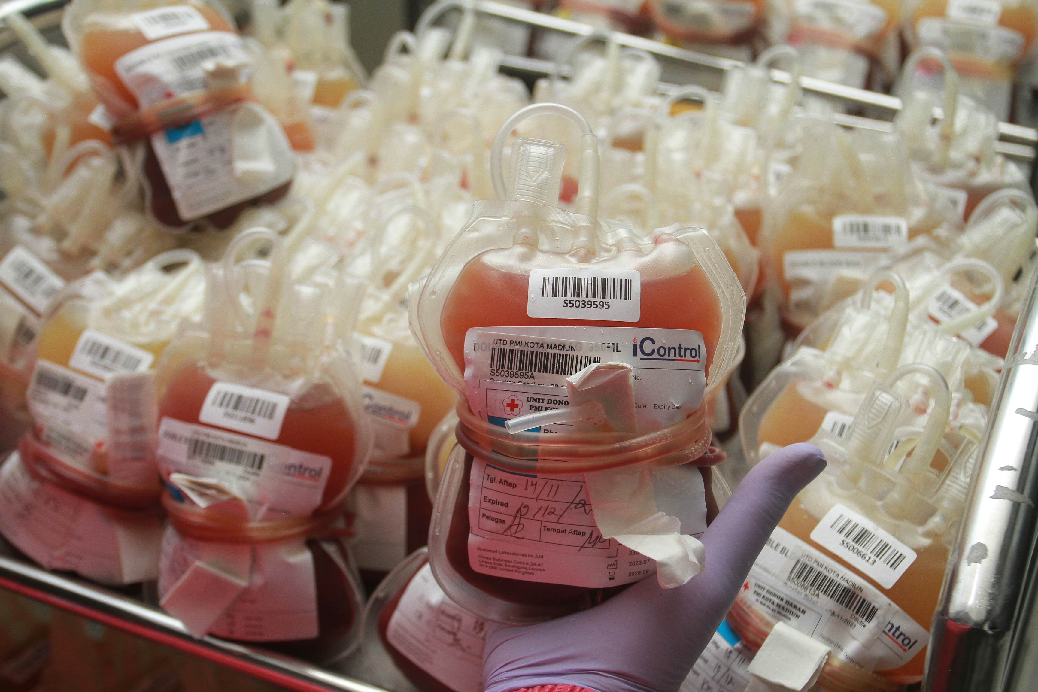 MELIMPAH: Stok darah di UDD PMI Kota Madiun relatif aman di tengah ancaman penyakit demam berdarah dengue (DBD). (BAGAS BIMANTARA/RADAR MADIUN)