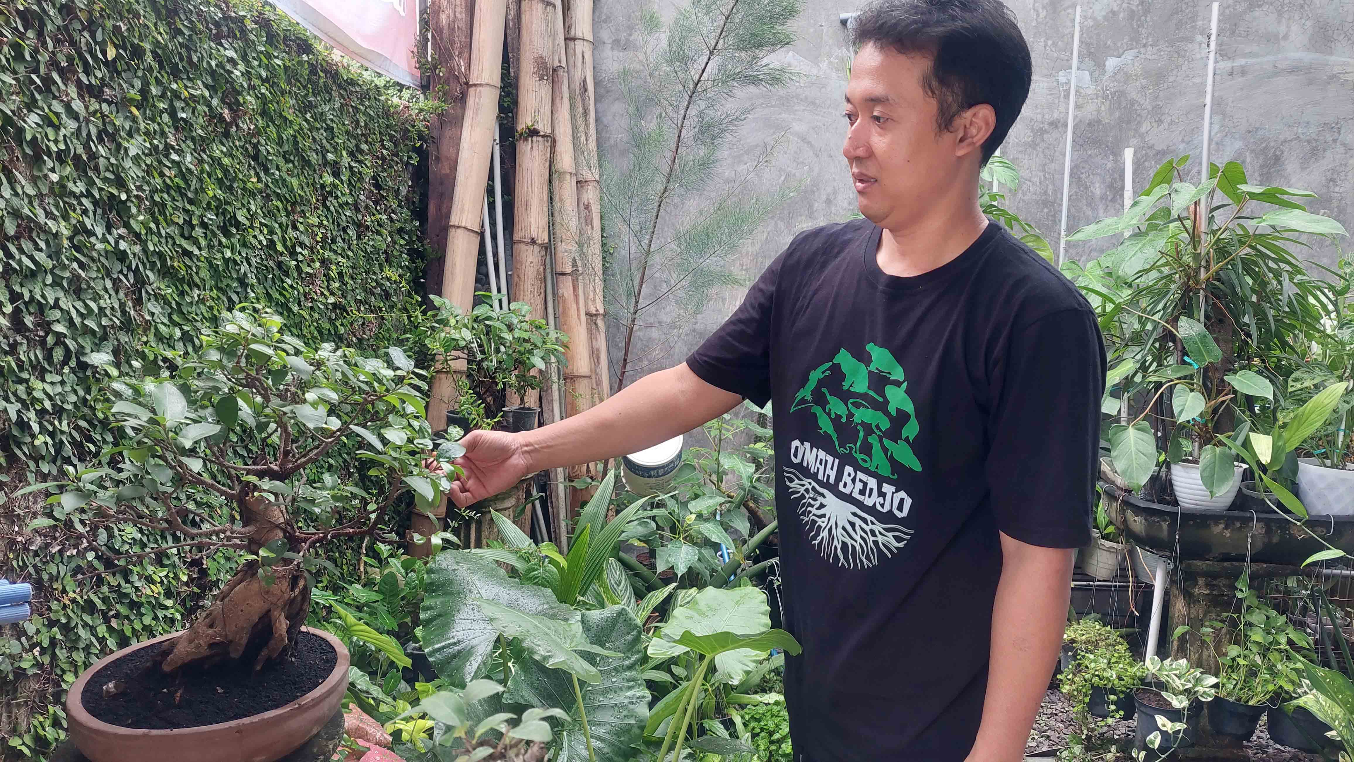 ULET: Antonius Fransiscus Wijaya Kusuma saat menunjukkan salah satu koleksi tanaman bonsainya di rumahnya yang ada di Desa Mojopurno, Wungu. (ANTONIUS FRANSISCUS WIJAYA)