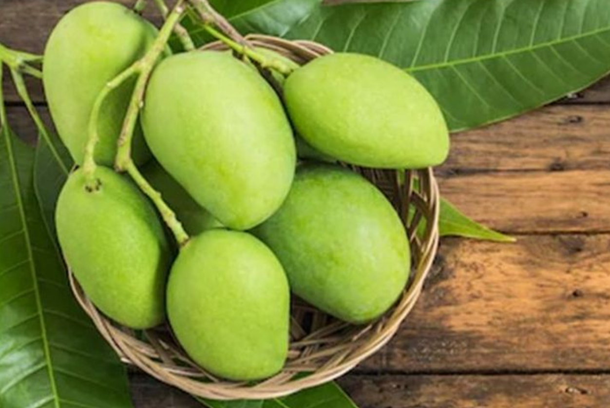Ilustrasi mangga (JAWAPOS.COM)
