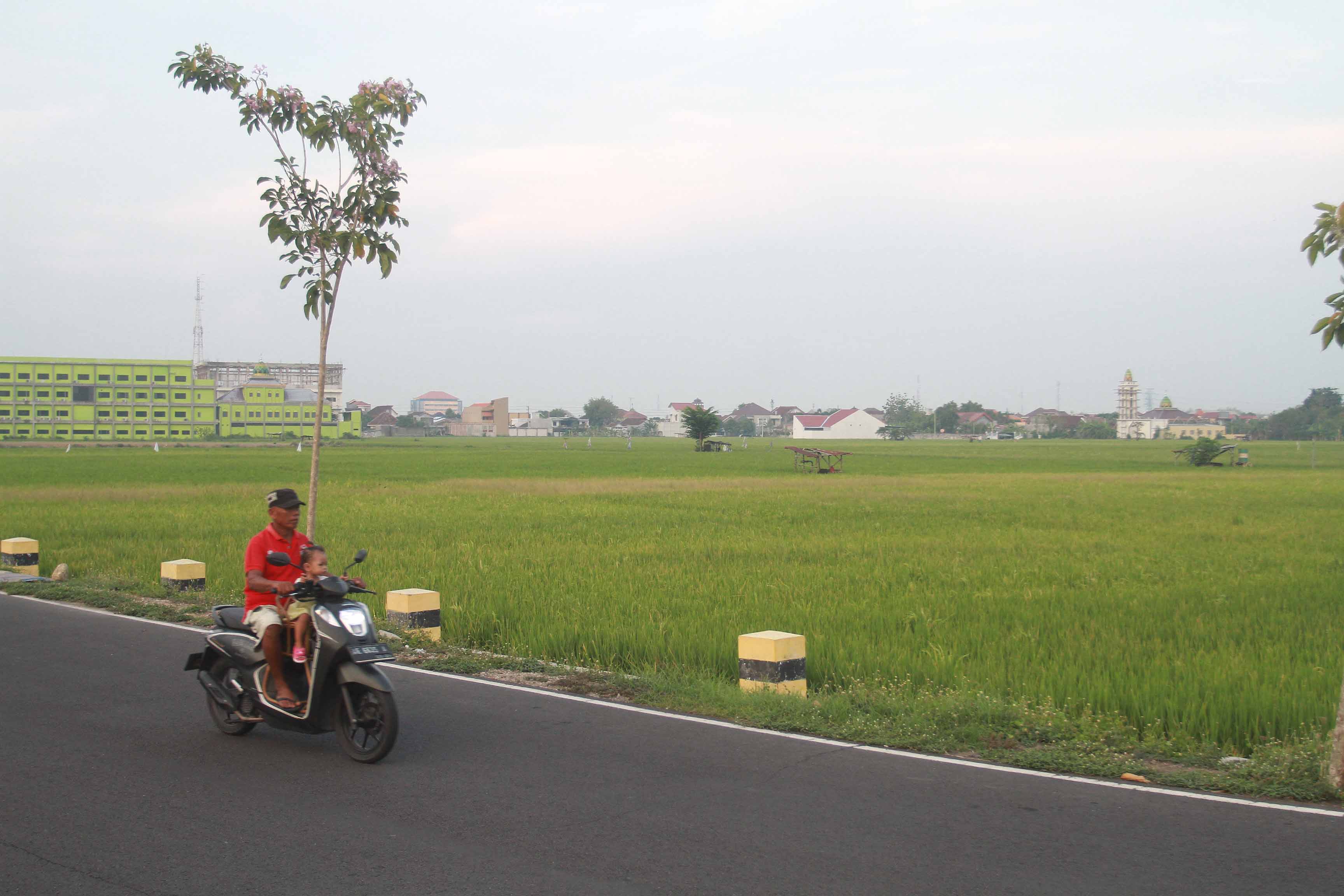 MENYUSUT: Pertanian di Kota Madiun terus berkurang karena alih fungsi lahan.&nbsp;(BAGAS BIMANTARA/JAWA POS RADAR MADIUN)