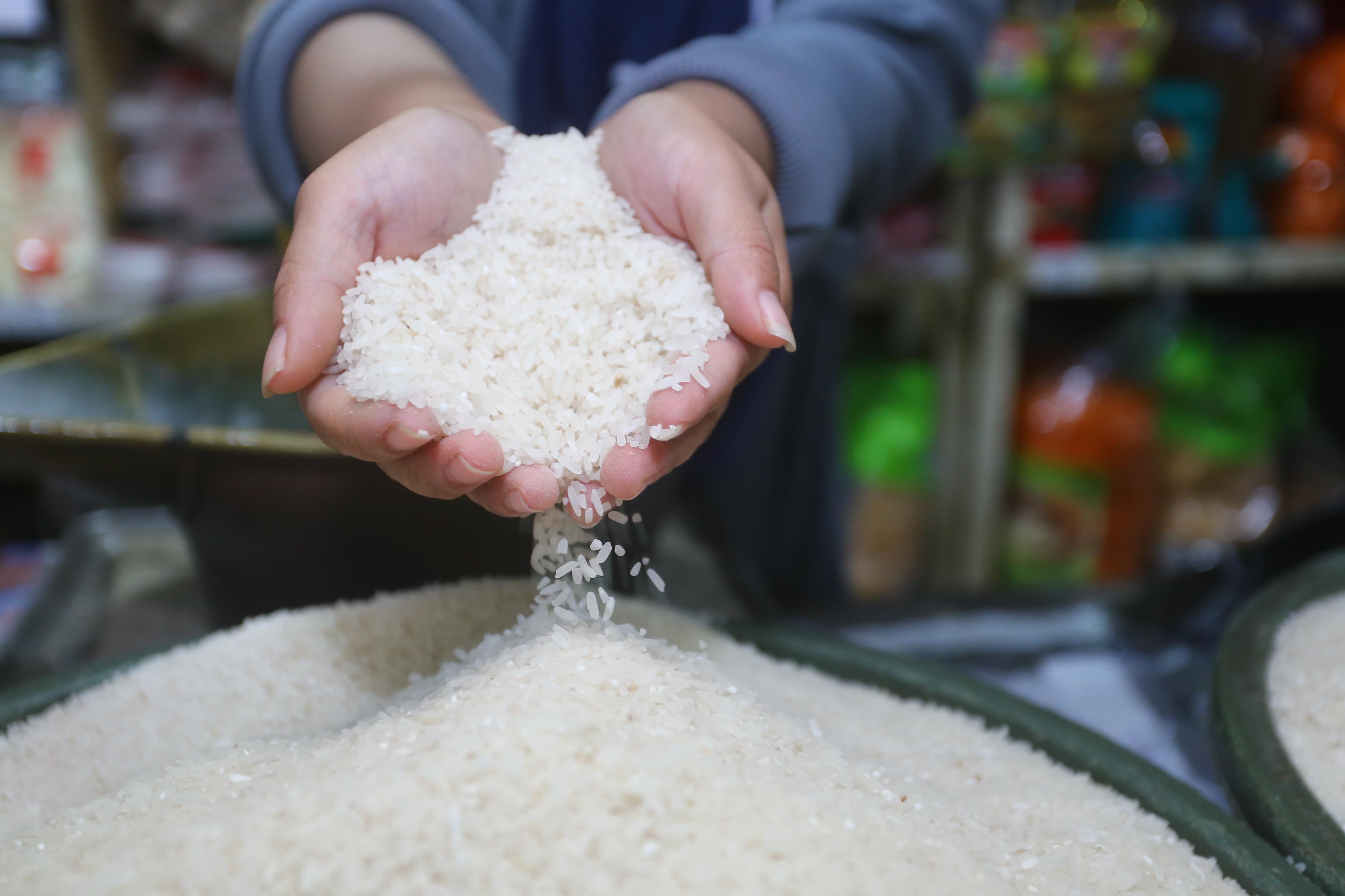 Ilustrasi beras sebagai salah satu dari sembilan bahan pokok atau sembako. (BAGAS BIMANTARA/RADAR MADIUN)