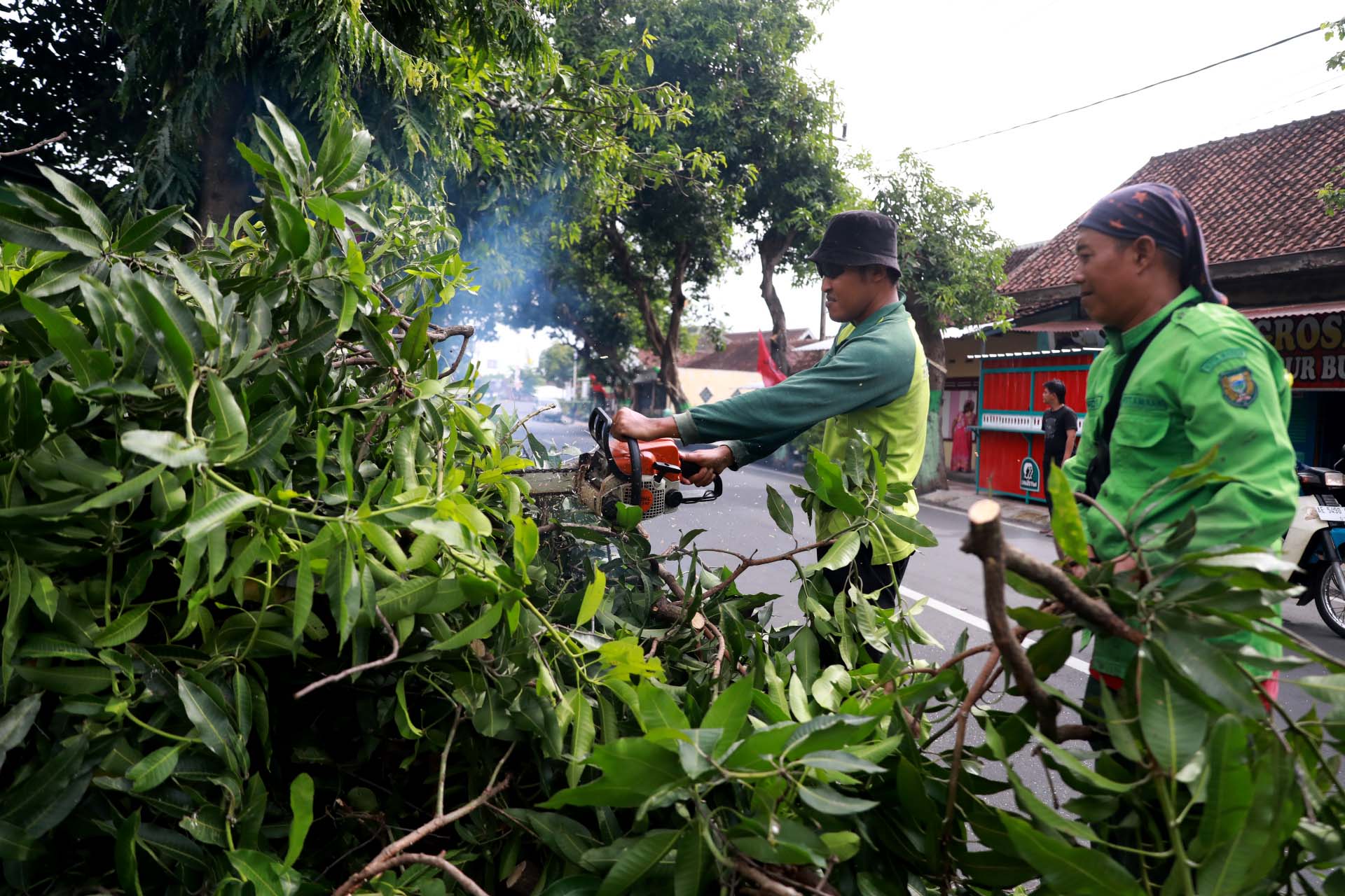 DITEBANGI: Petugas dari Disperkim Kota Madiun melakukan perantingan pohon yang berada di Jalan Bali kemarin (22/1). (DISKOMINFO KOTA MADIUN)