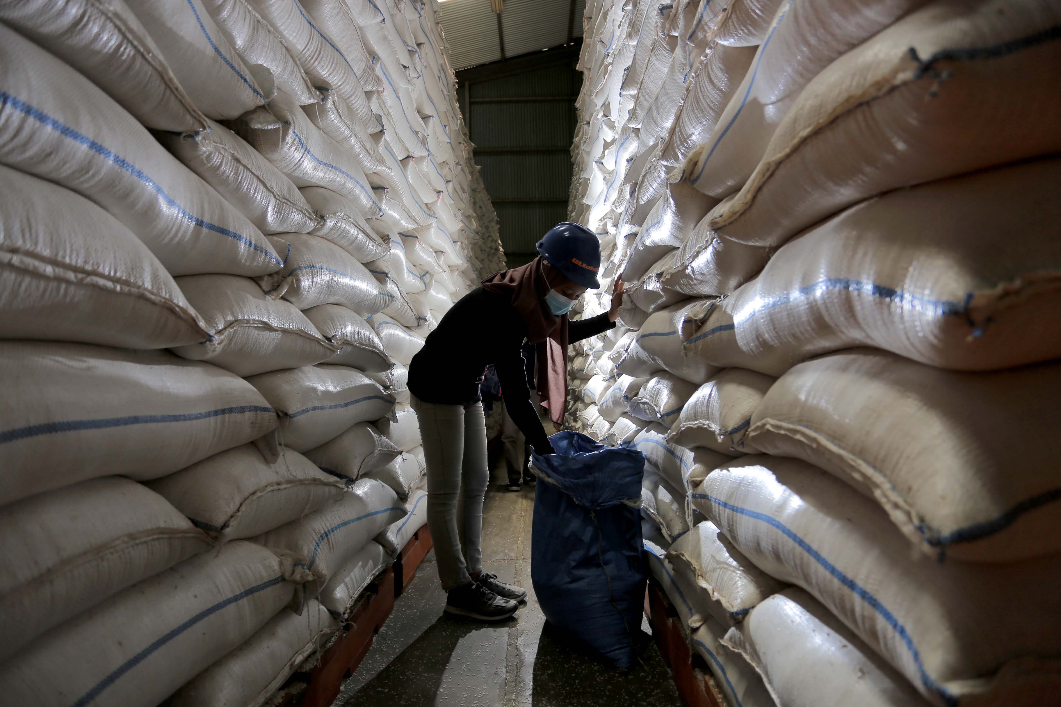 MELIMPAH: Petugas memeriksa stok beras di gudang Bulog Madiun. (BAGAS BIMANTARA/RADAR MADIUN)