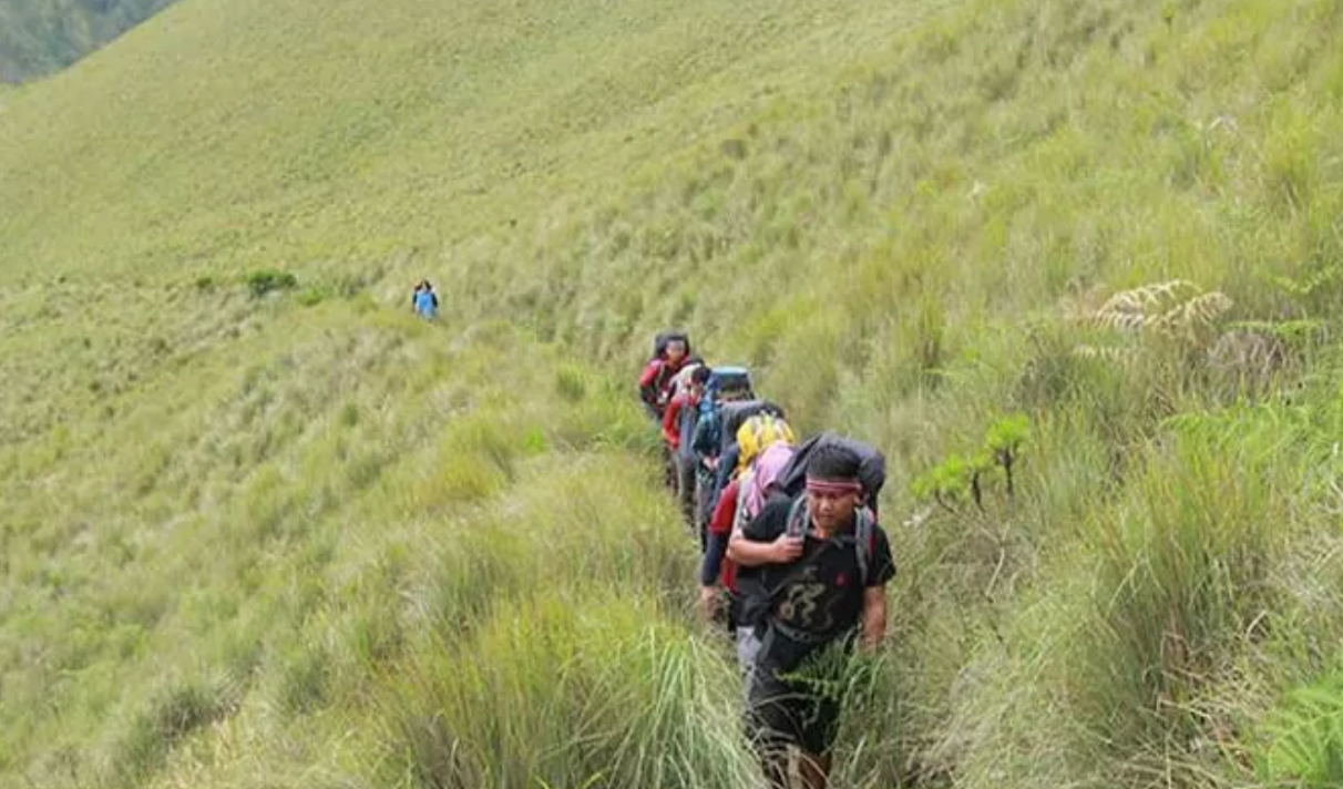 Ilustrasi pendakian Gunung Merbabu (JAWAPOS.COM)