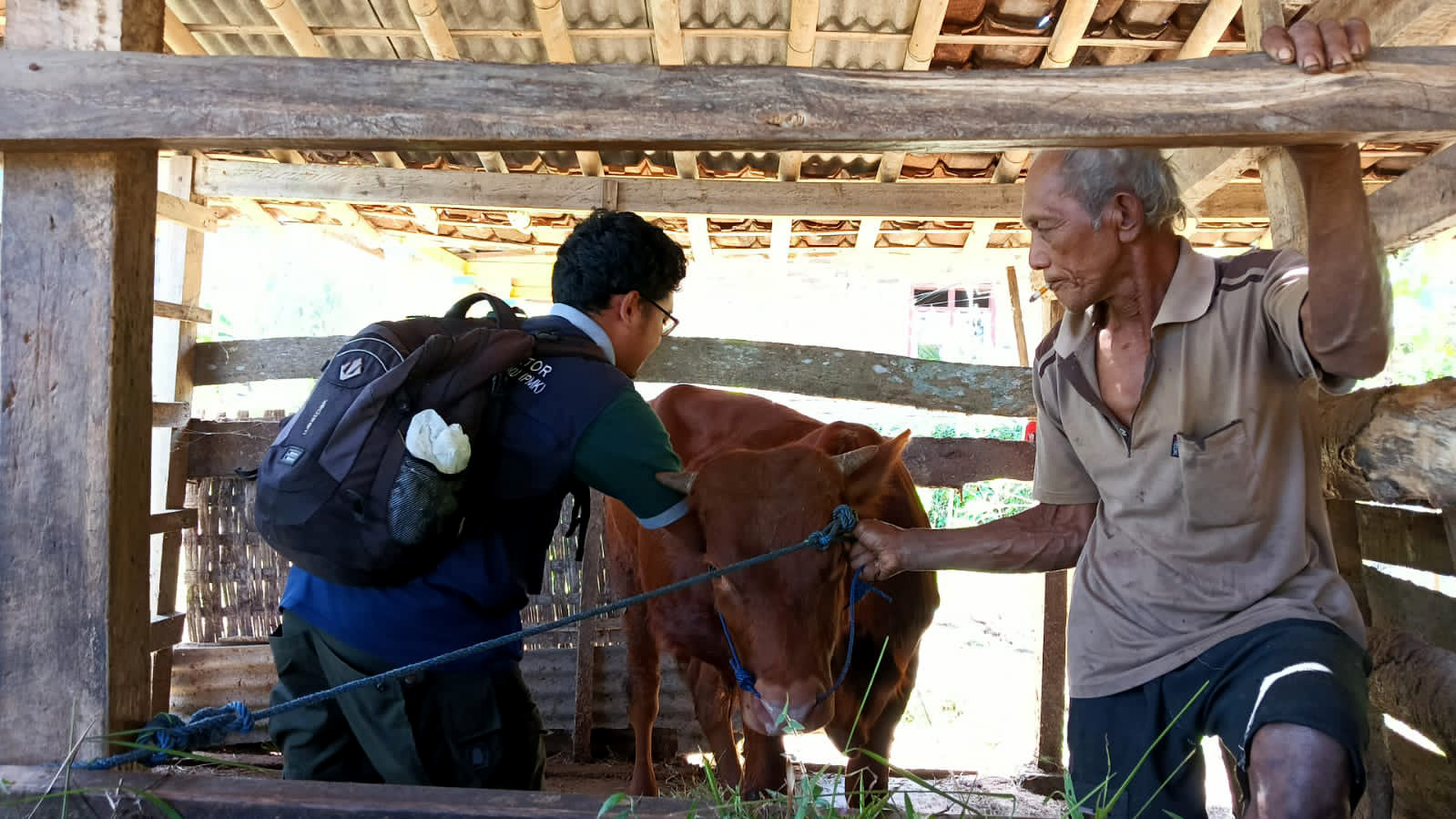 CEGAH WABAH: Kegiatan vaksinasi PMK pada hewan ternak tahun lalu. (NUR CAHYONO/RADAR PACITAN)